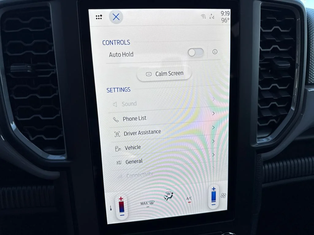 New 2025 Gray Ford STX image 24