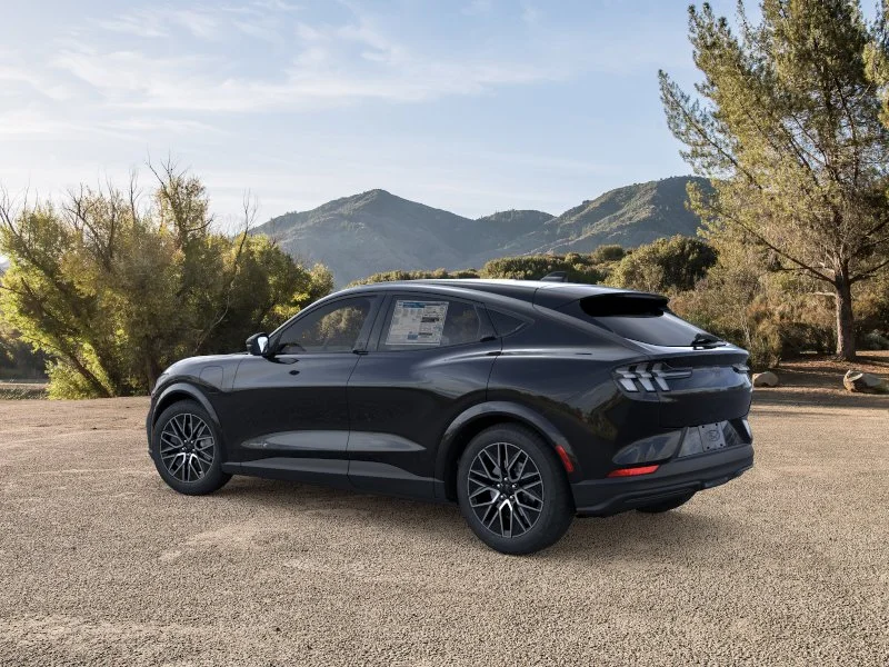 New 2026 Shadow Black Ford Premium image 5