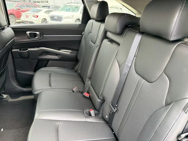 New 2026 Panthera Metal Kia S image 19