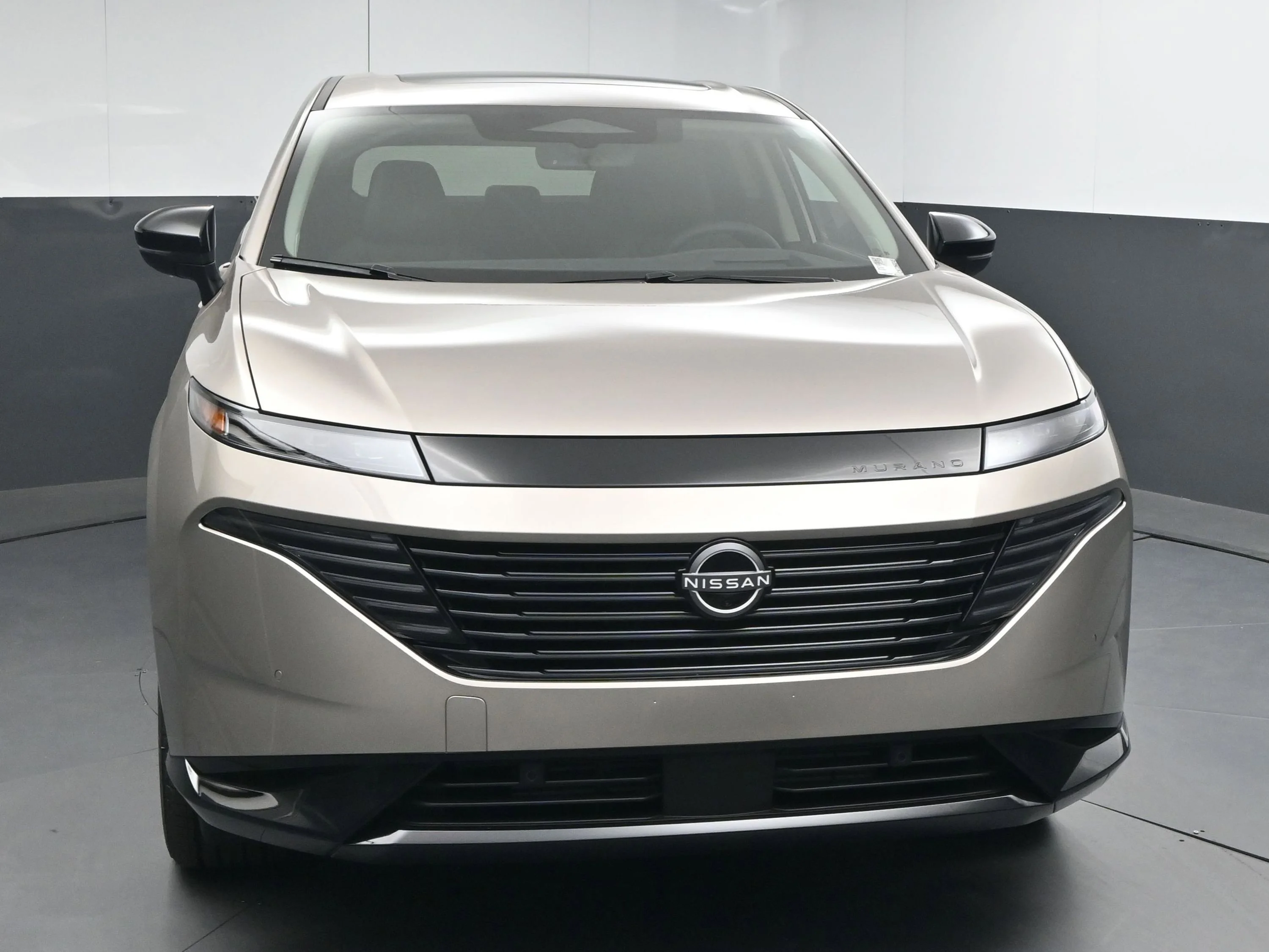 New 2026 Champagne Silver Metallic Nissan Platinum image 2