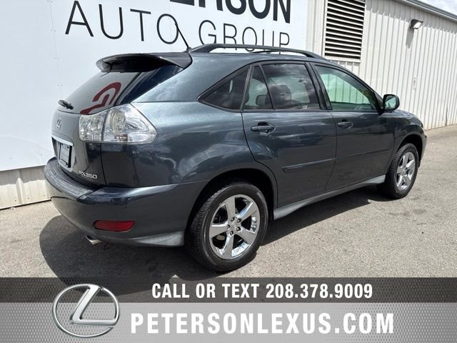 Used 2007 Gray Lexus Luxury image 4