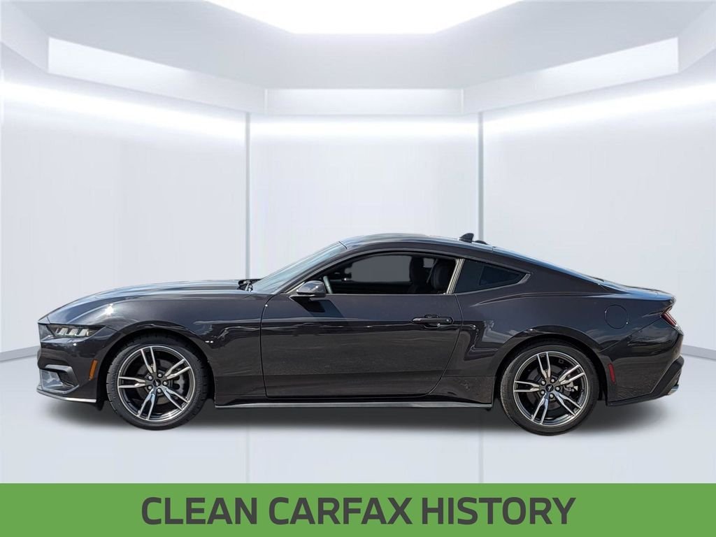 Used 2024 Gray Ford EcoBoost image 2