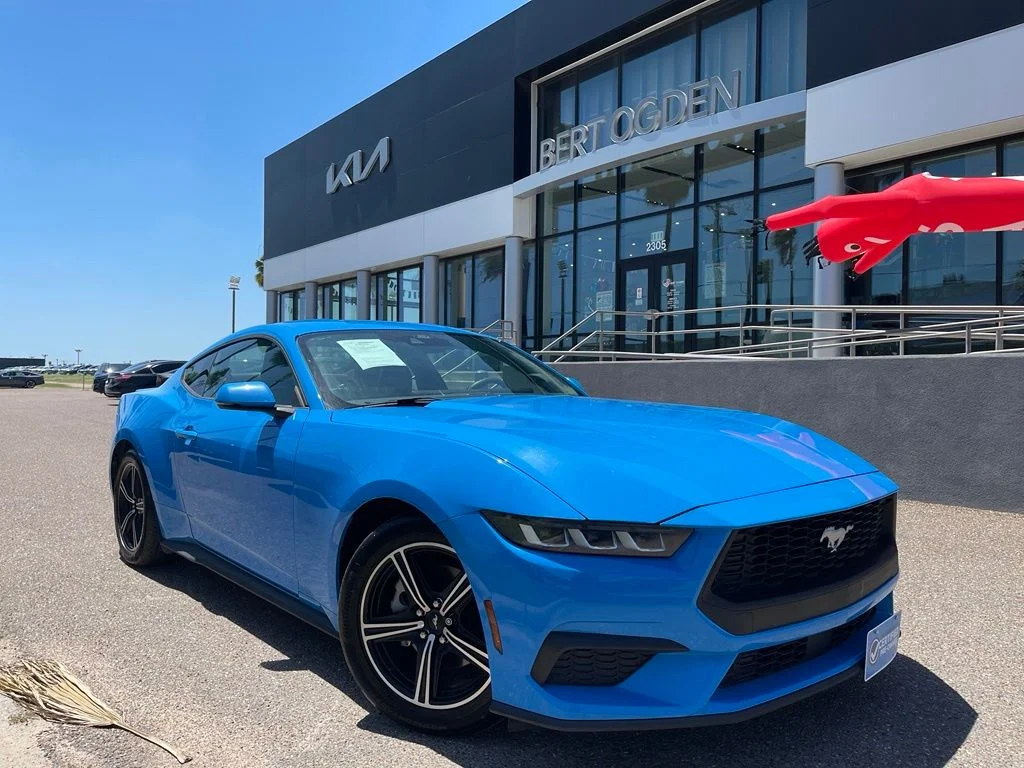 Used 2024 Blue Ford EcoBoost Premium image 1
