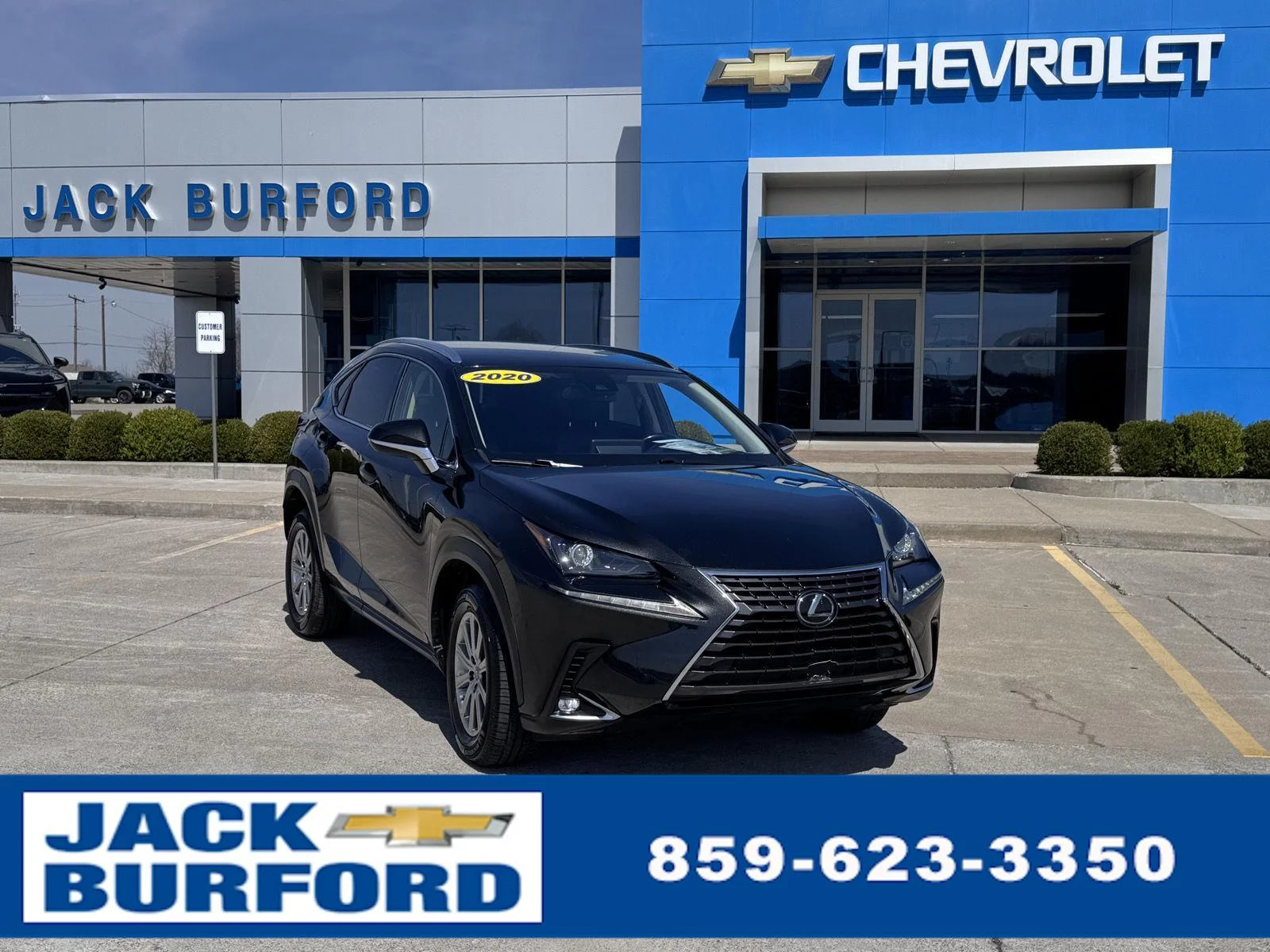 2020 Lexus NX 350 300 AWD's photo