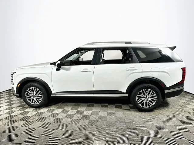 New 2027 White Hyundai SEL image 6