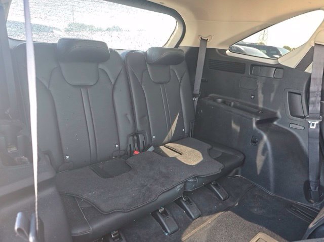 Used 2025 Panthera Metal Kia SX image 14