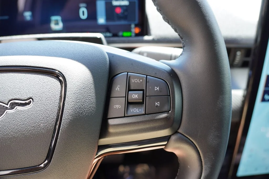 Used 2025 Desert Sand Ford Premium image 34