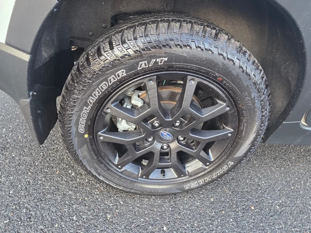 2025 Subaru Crosstrek Wilderness - Photo 28