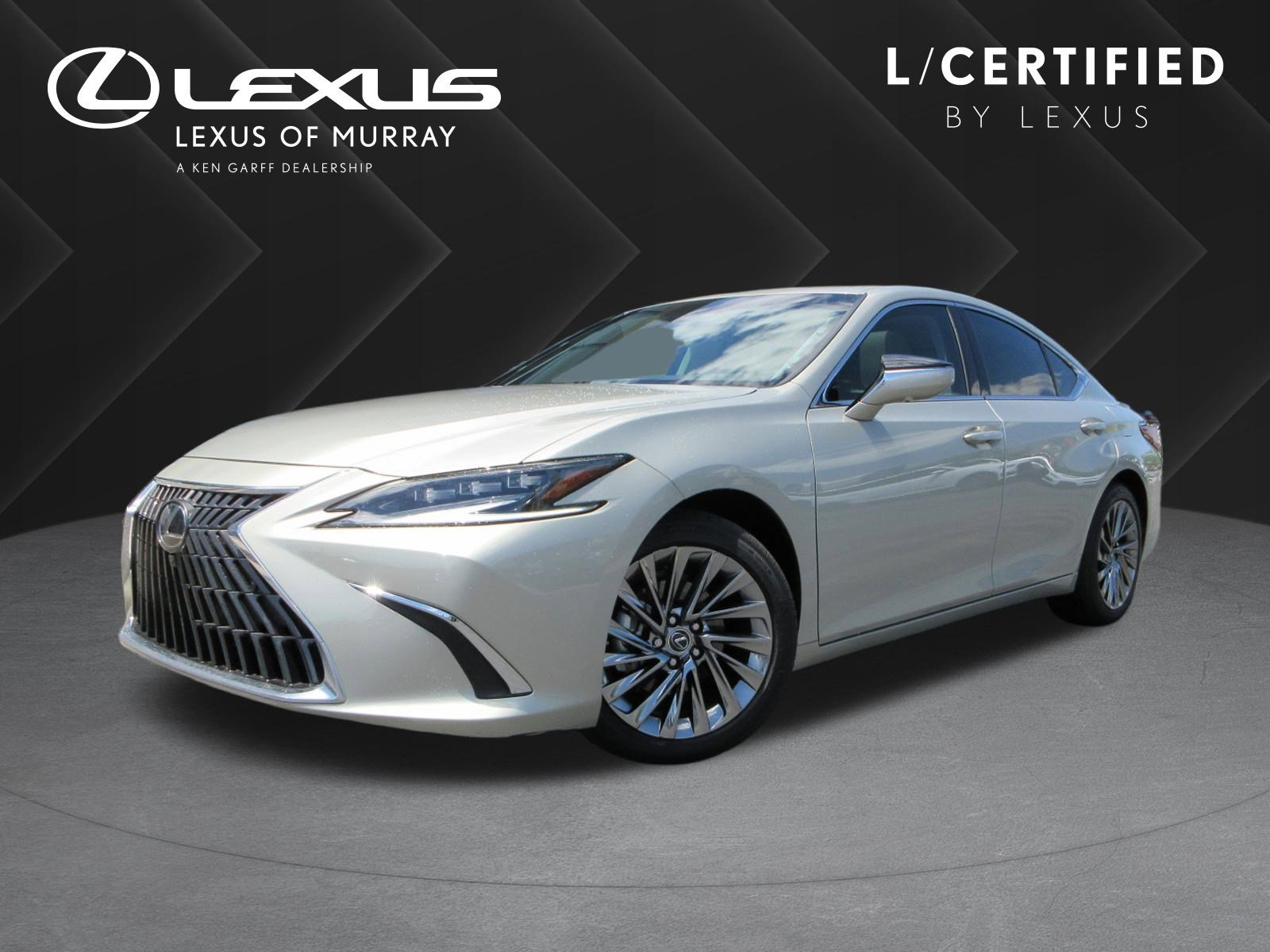 2025 Lexus ES 300h 300h Luxury's photo