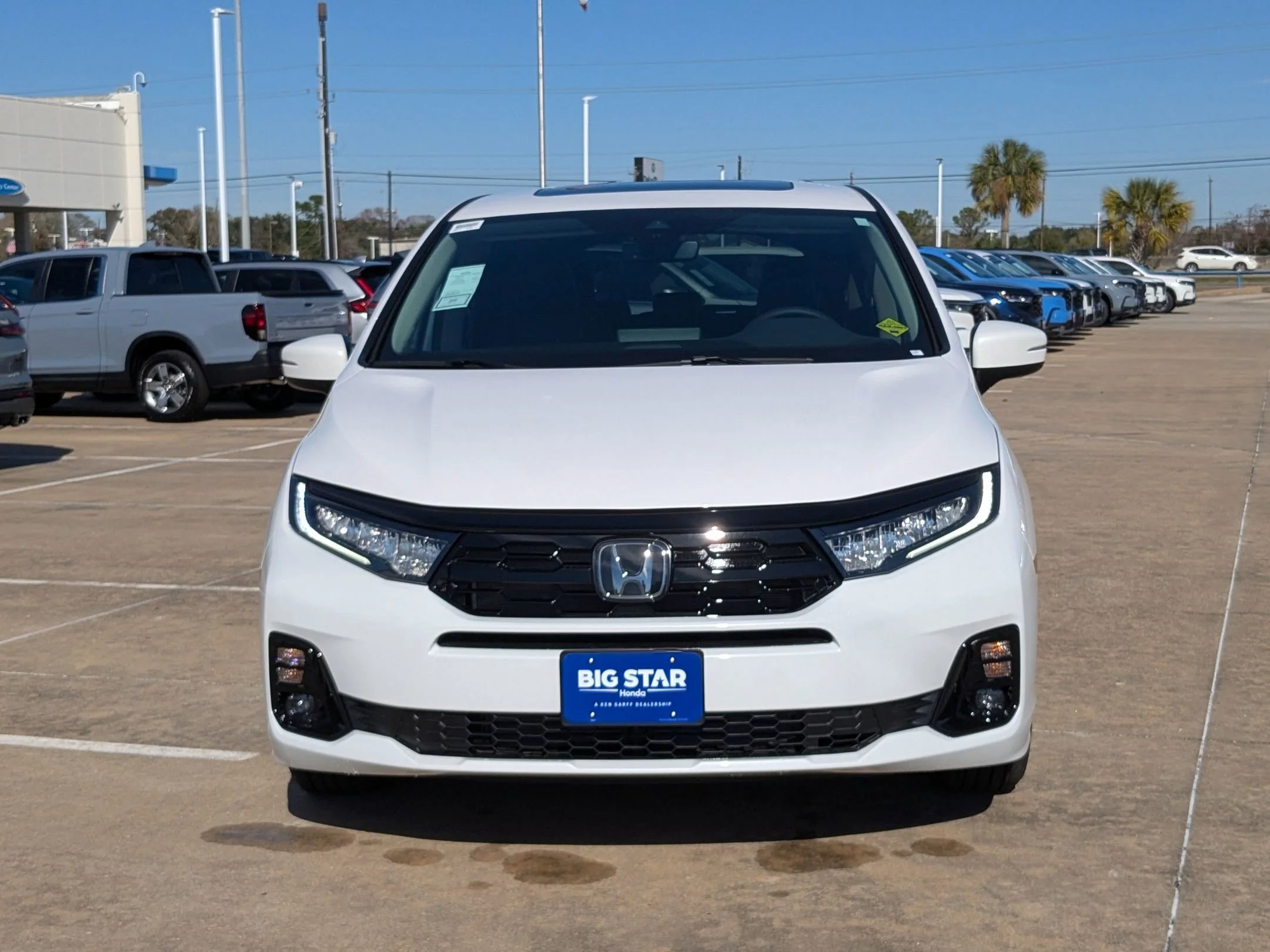 New 2026 Platinum White Pearl Honda Elite image 9