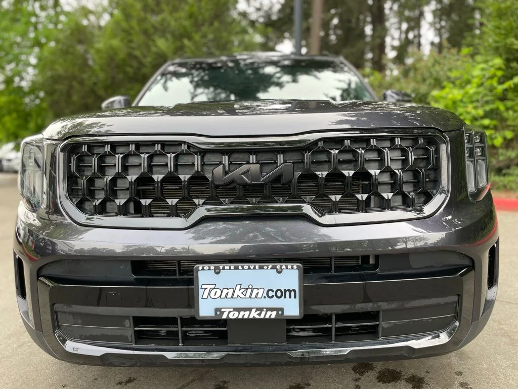 Certified Used 2025 Panthera Metal Kia EX X-Line image 7