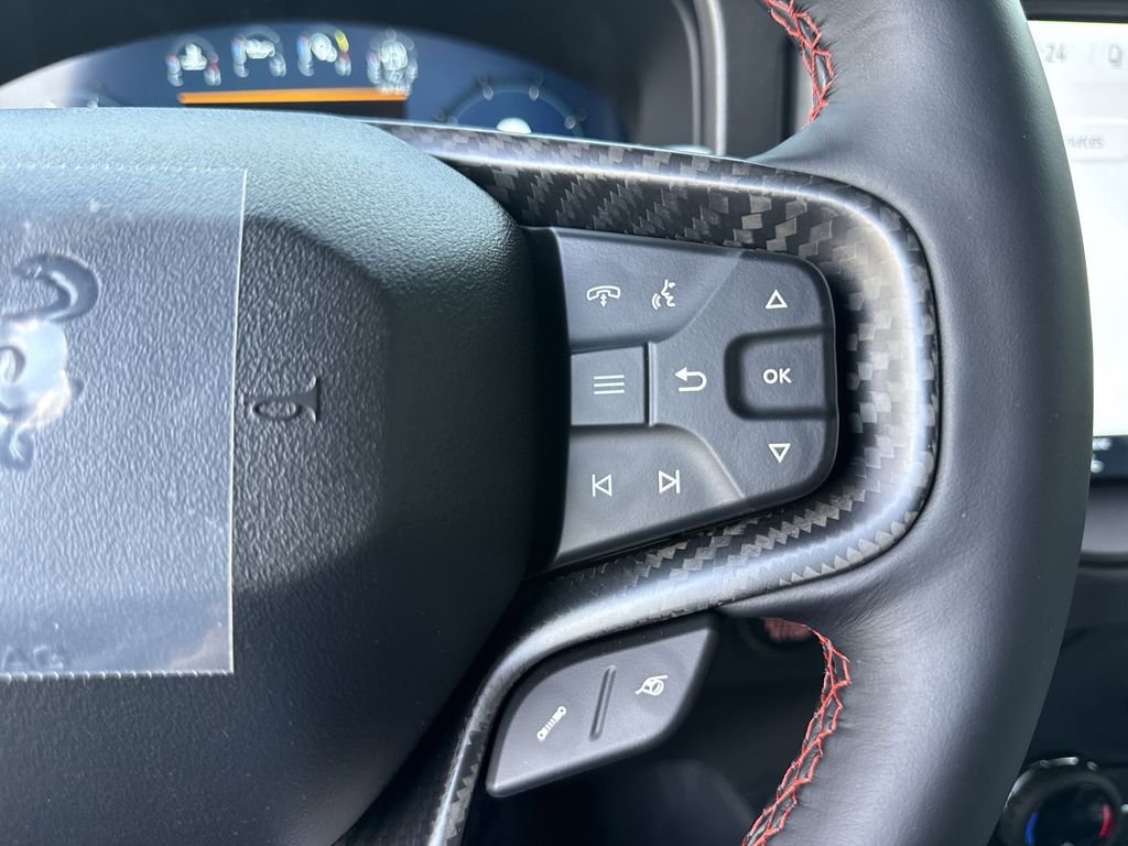 New 2026 Marsh Gray Ford Raptor® image 24