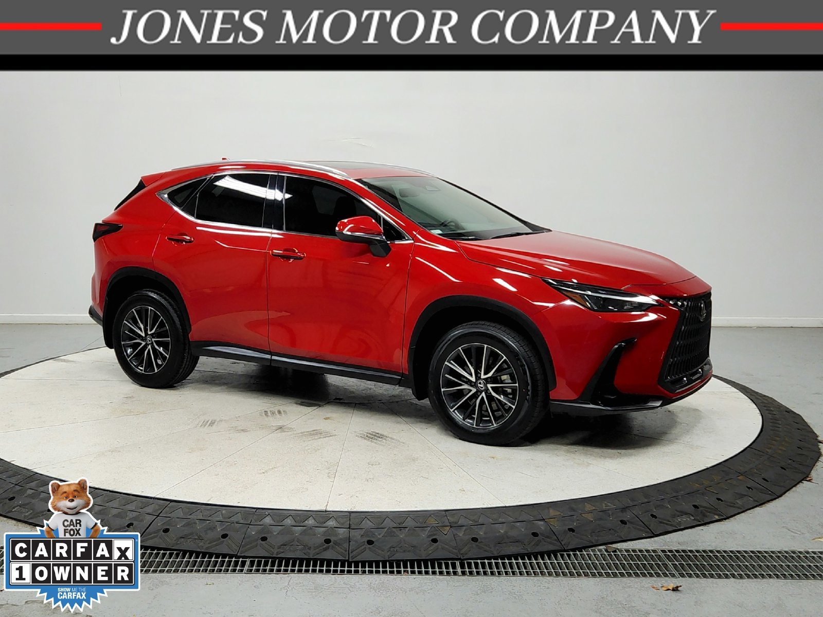 2024 Lexus NX