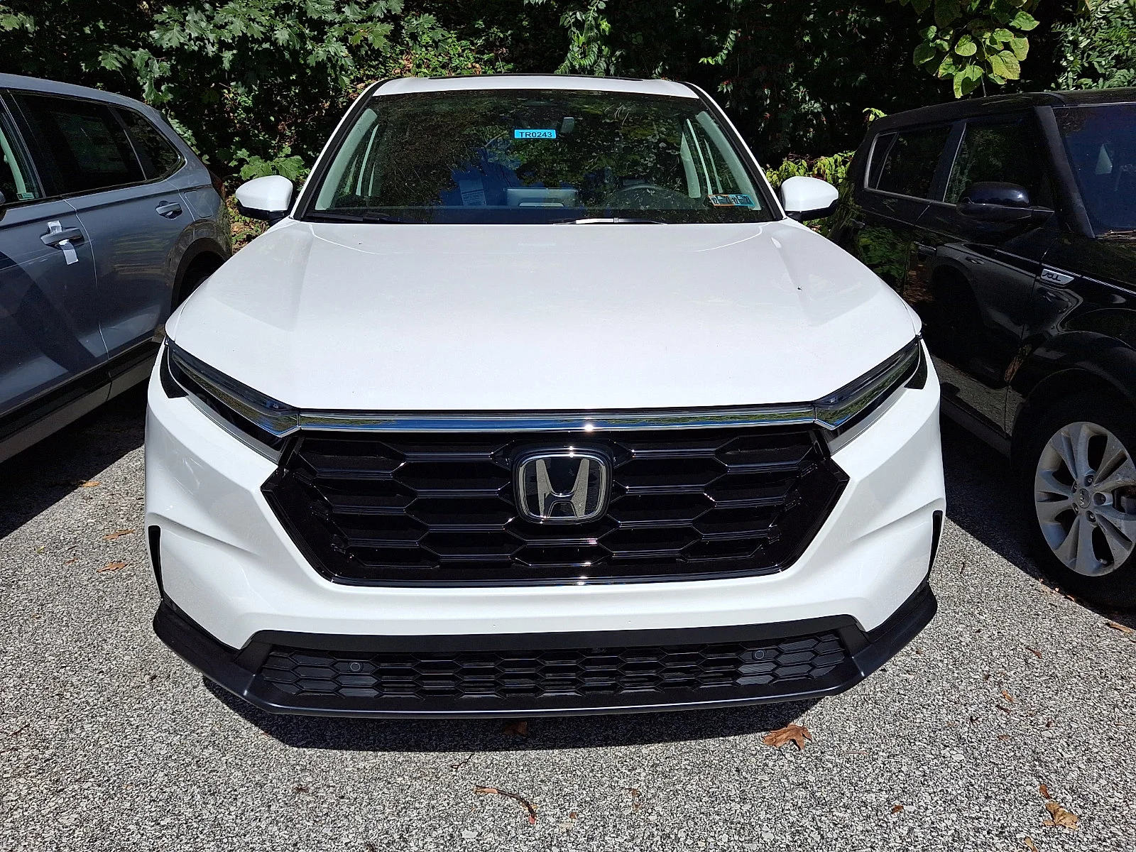 New 2027 Platinum White Pearl Honda EX-L image 2