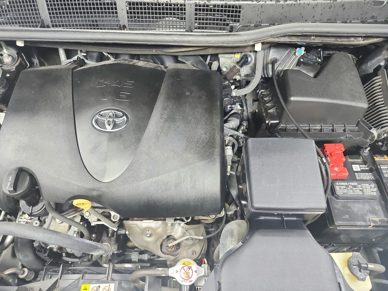 Used 2020 Green Toyota XLE Premium image 18