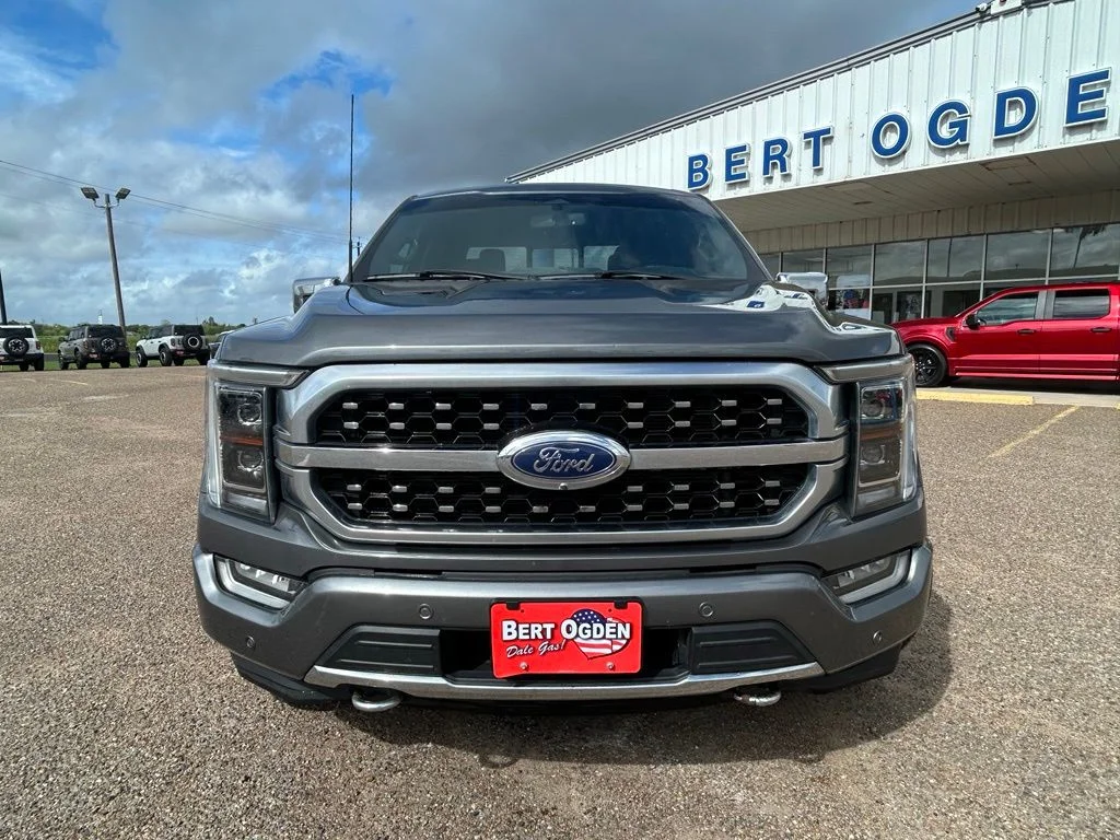 Used 2023 Gray Ford Platinum image 2