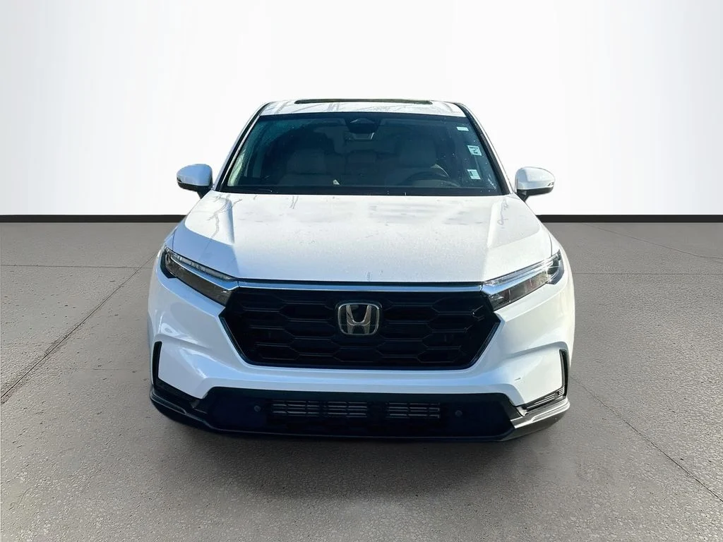 Used 2026 White Honda EX-L image 2