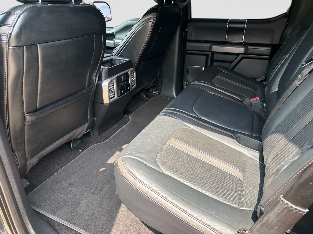 Used 2019 Black Metallic Ford Platinum image 15