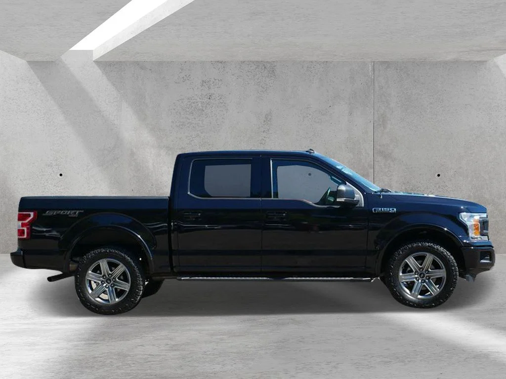 Certified 2019 Ford F-150 XLT with VIN 1FTEW1EPXKFA61971 for sale in White Bear Lake, Minnesota