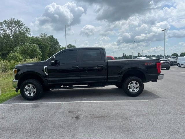 Used 2018 Black Ford XL image 1