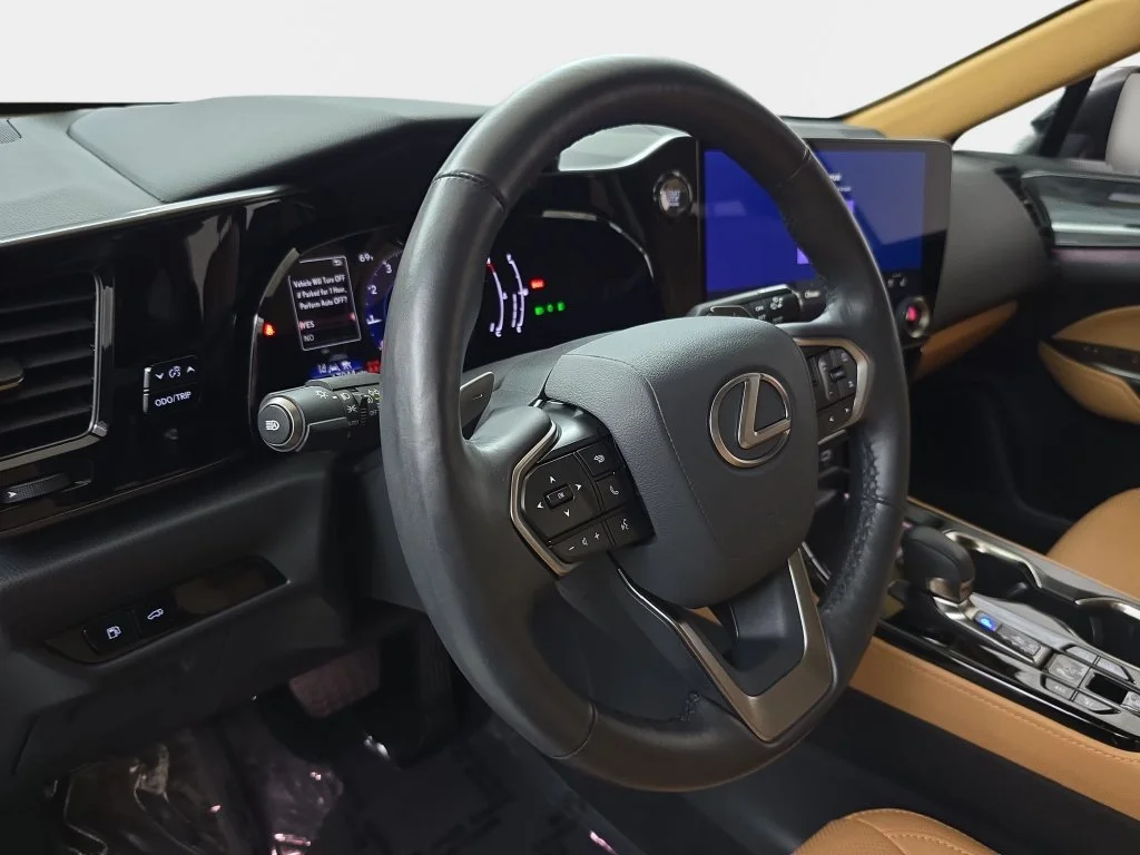 Used 2025 CAVIAR Lexus 350 Premium image 19
