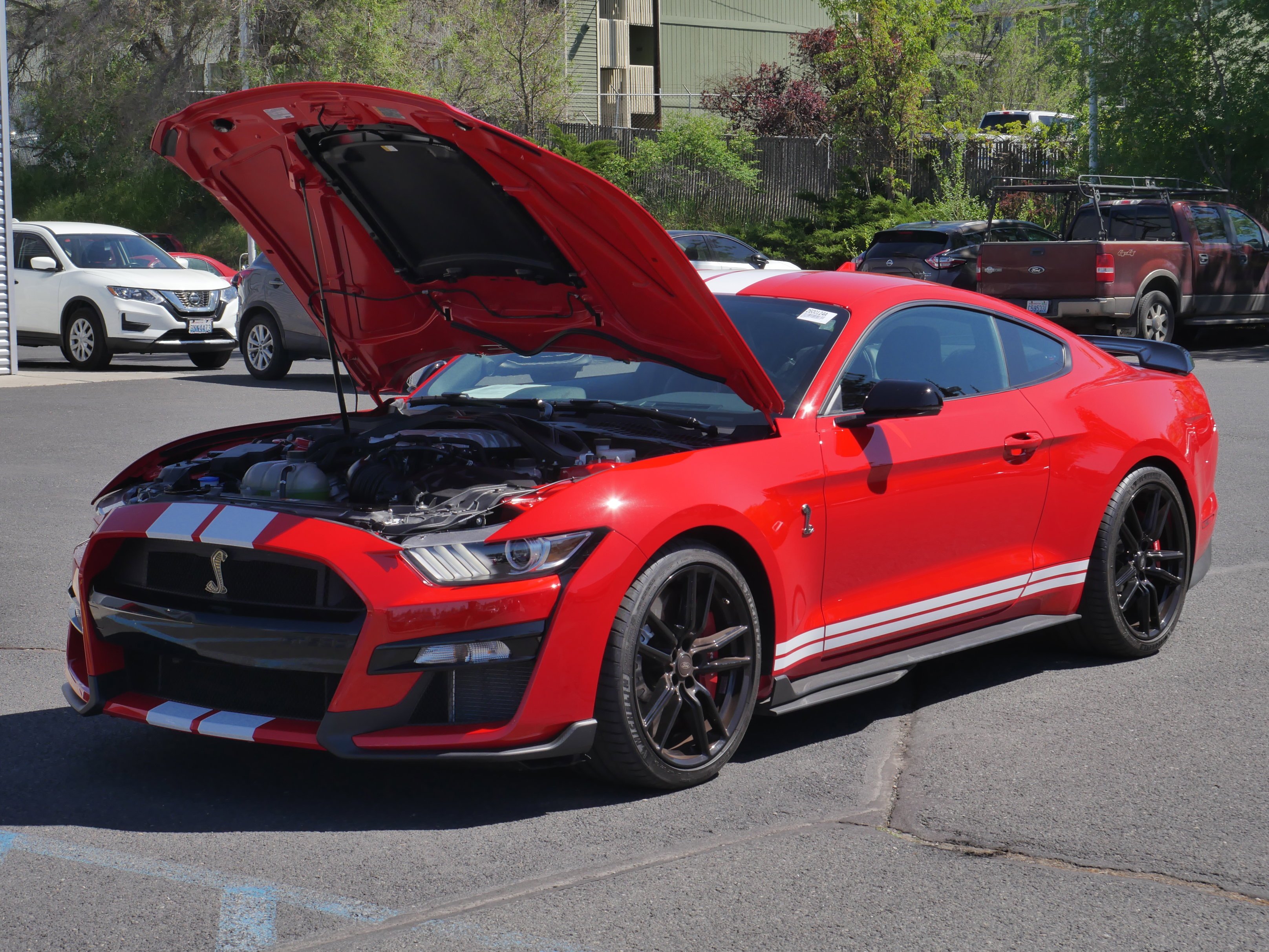 Used 2021 Race Red Ford Shelby GT500 image 42