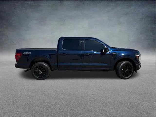 Used 2024 Blue Ford Platinum image 11