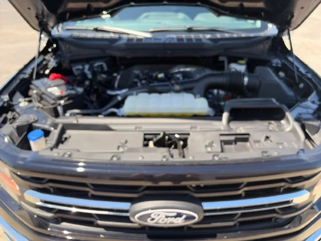 Used 2024 Black Ford XLT image 22