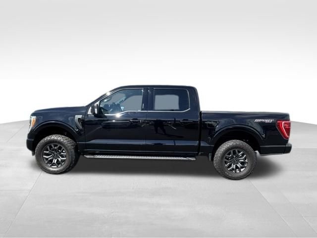 Used 2023 Black Ford XLT image 3
