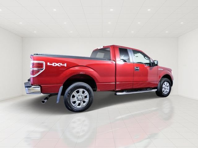 Used 2009  Ford XL image 6