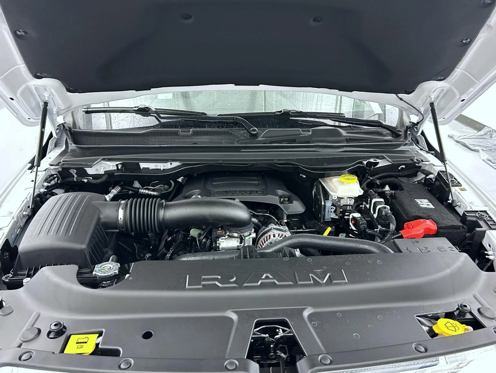 New 2027 White Ram Limited image 27