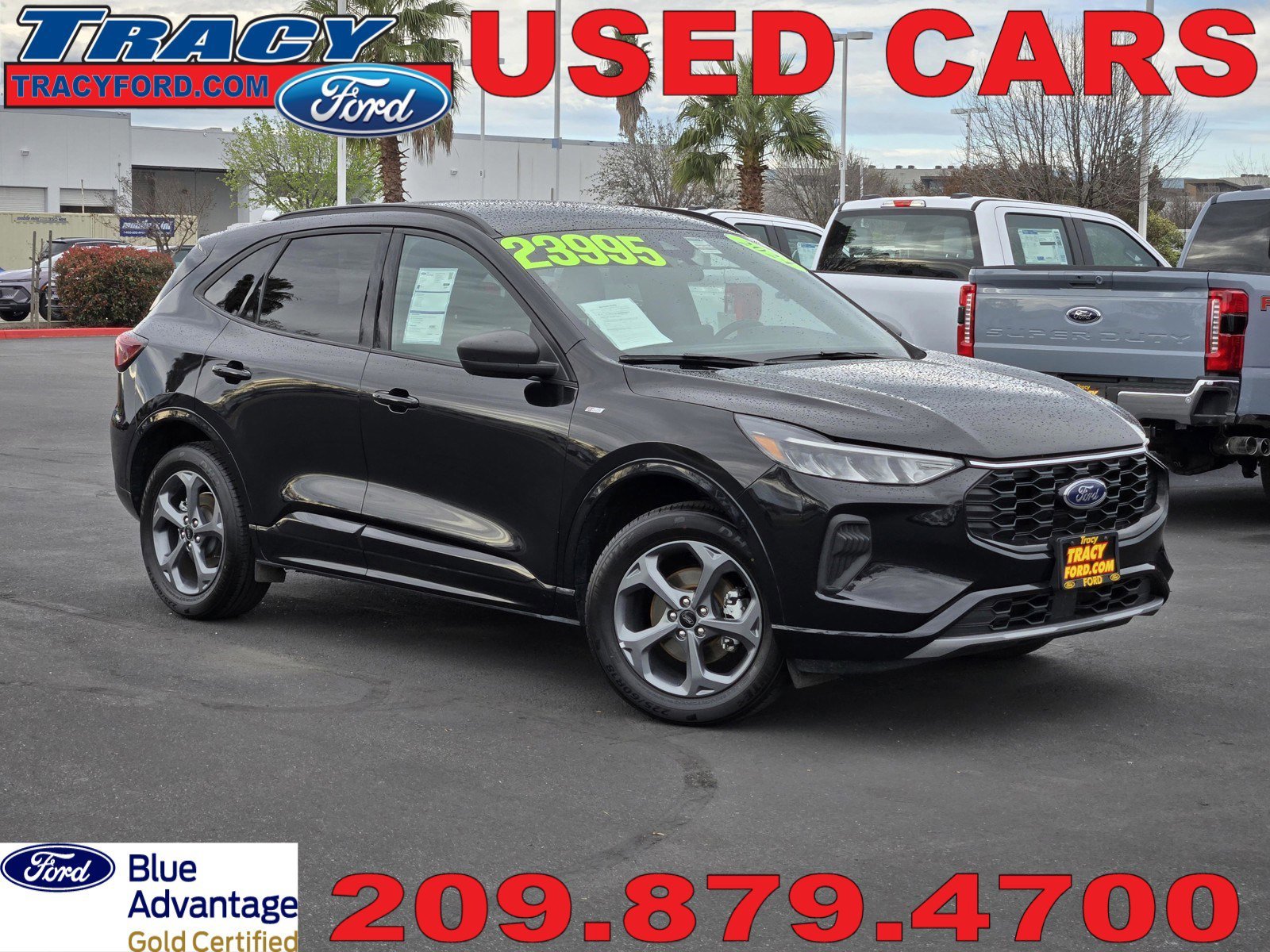 2024 Ford Escape ST-Line