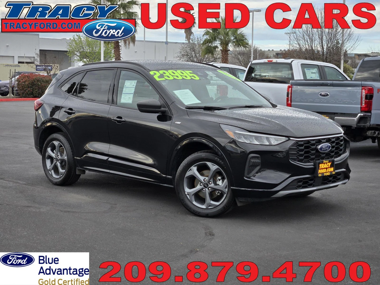 2024 Ford Escape ST-Line