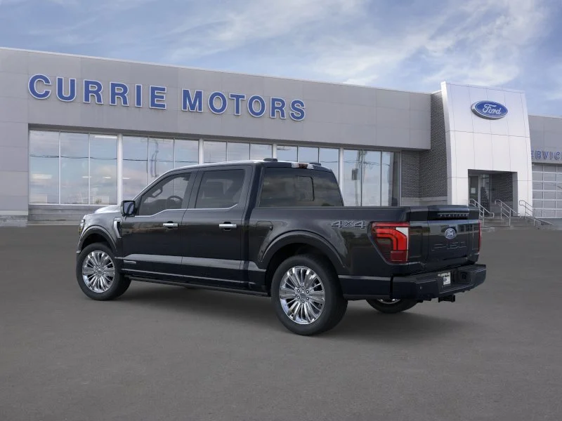 New 2026 Agate Black Metallic Ford Platinum image 4
