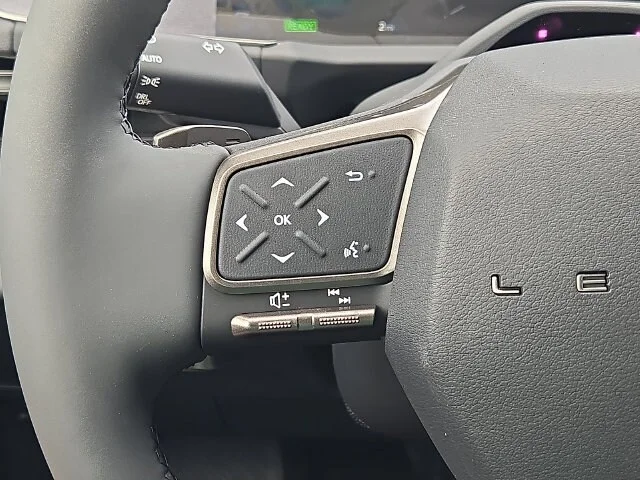New 2026 Iridium Lexus PREMIUM image 23