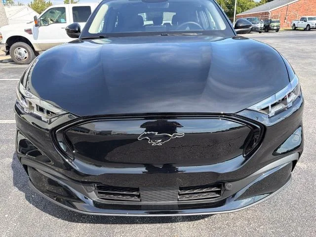 New 2026 Shadow Black Ford Premium image 34