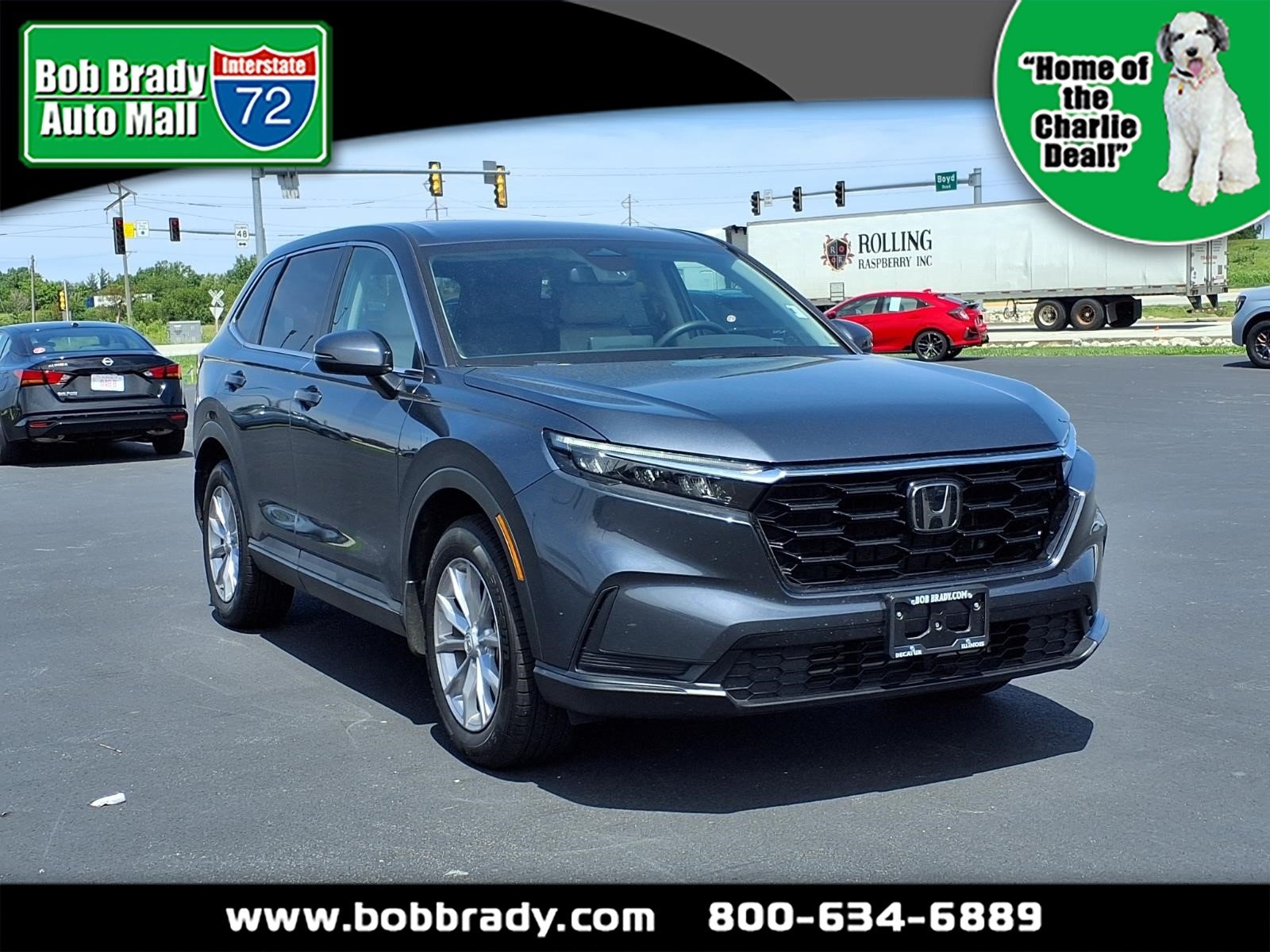2024 Honda CR-V EX AWD's photo