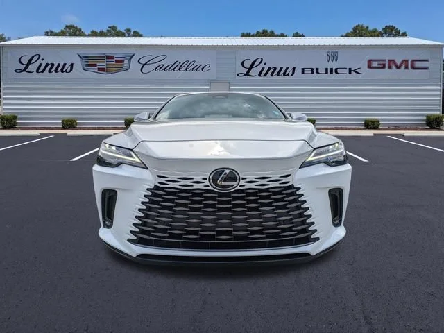 2025 Lexus RX 350 - Photo 9
