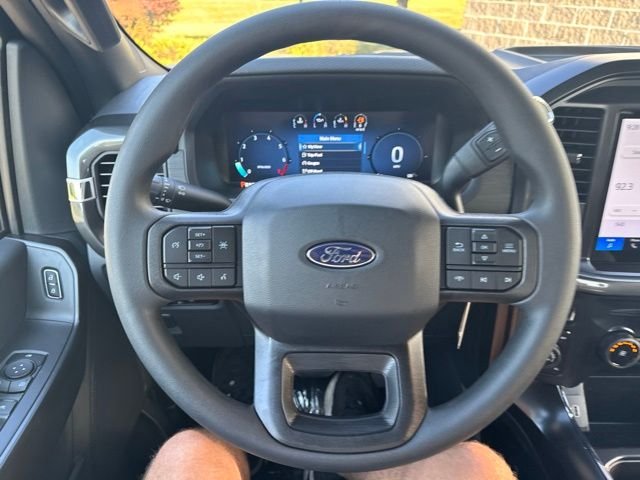 New 2026 Argon Blue Metallic Ford STX® image 20