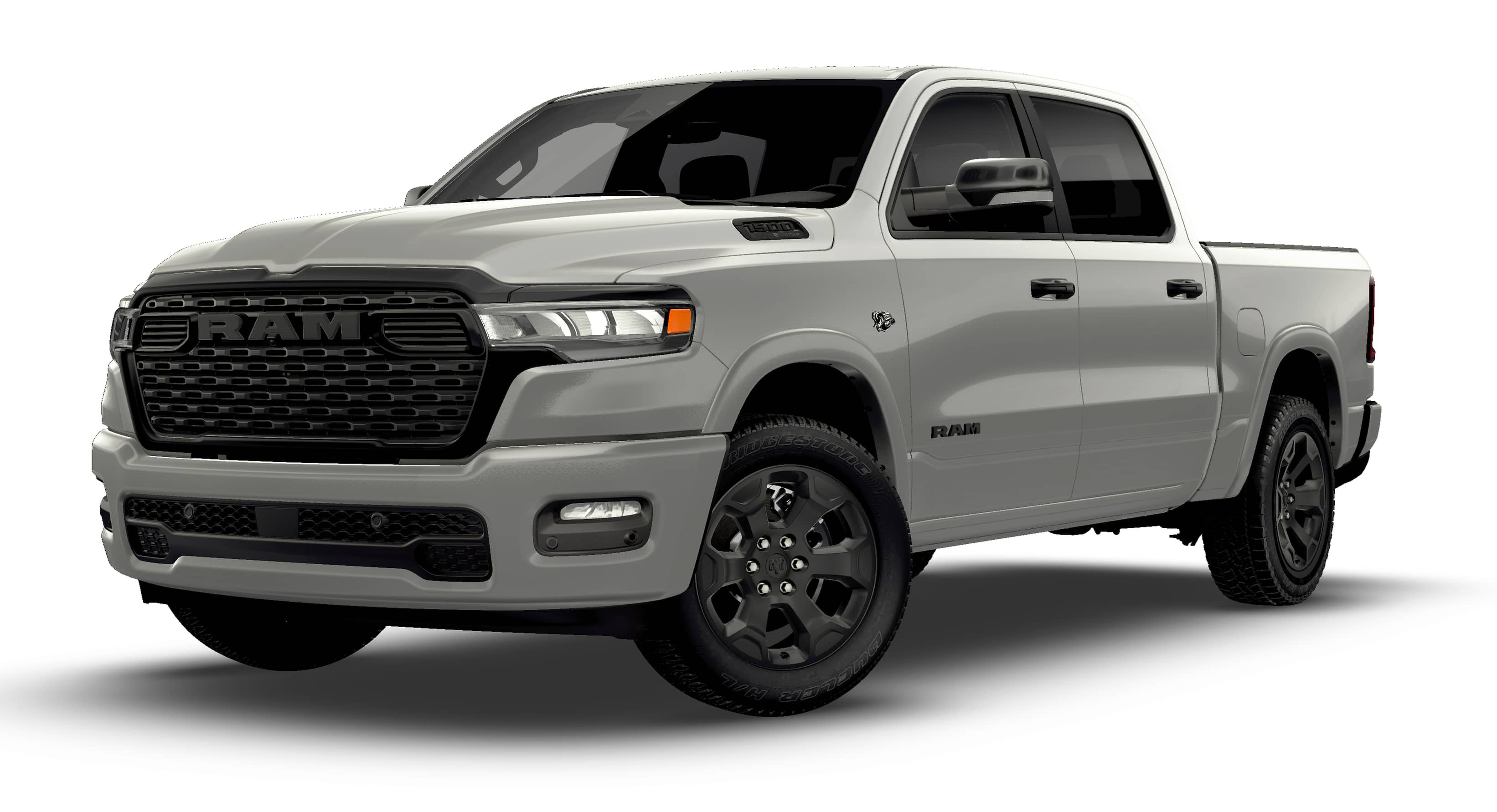 New 2026 Silver Zynith Exterior Paint RAM  image 13