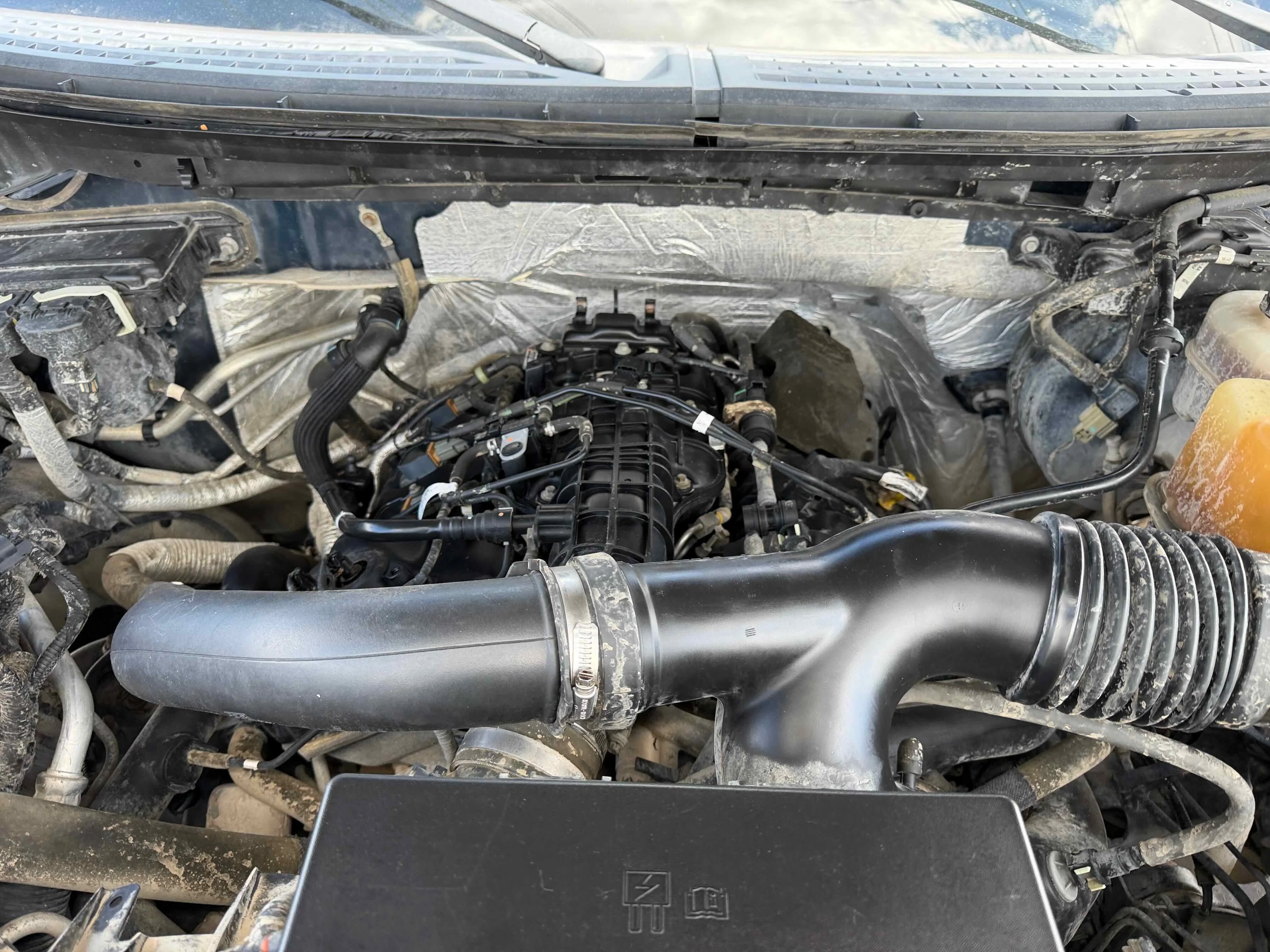 Used 2011 Blue Ford FX4 image 32