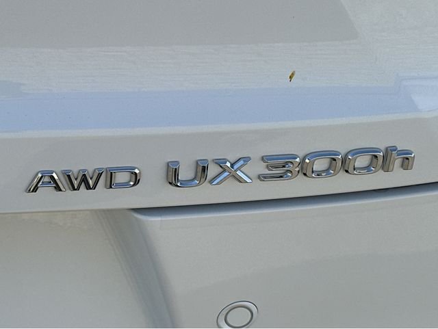 2026 Lexus UX Hybrid 300h Premium - Photo 23