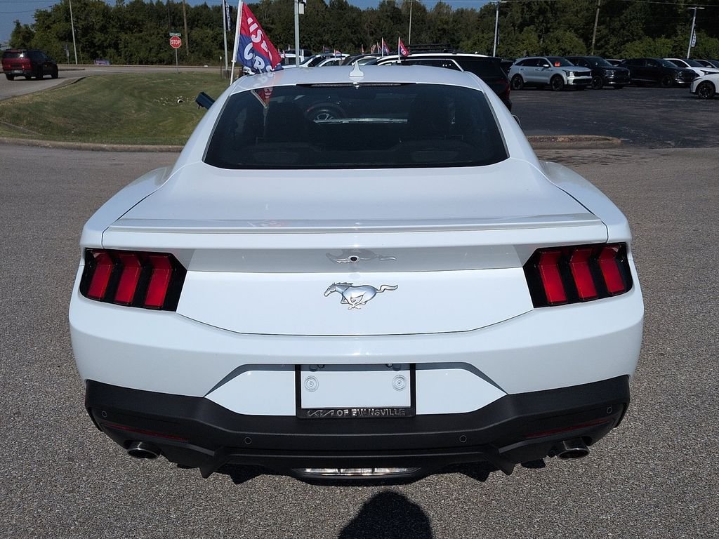 Used 2025 White Ford EcoBoost Premium image 6