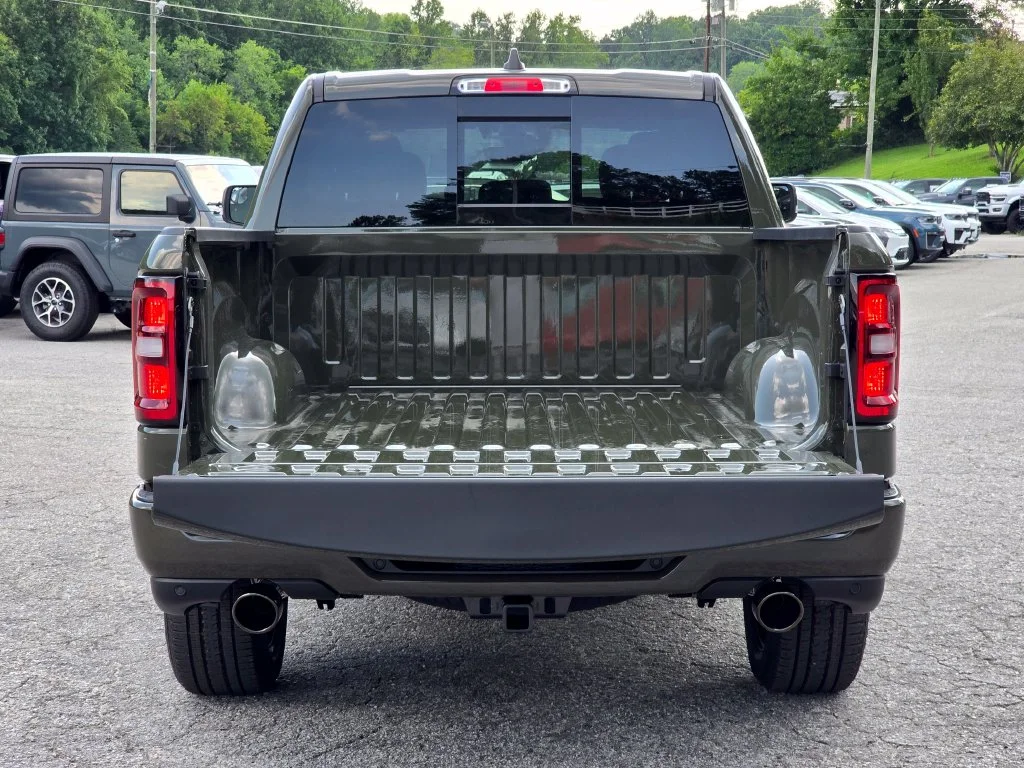 New 2026 Green Ram Big Horn/Lone Star image 13