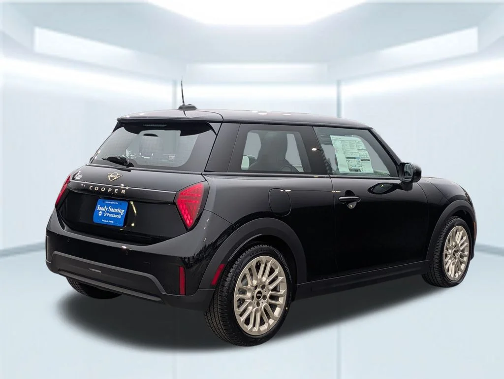 New 2026 Black MINI  image 5