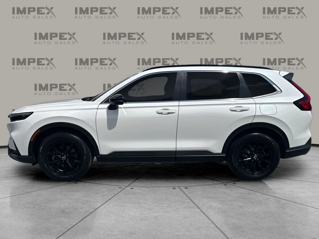 Used 2024 White Honda Sport-L image 2