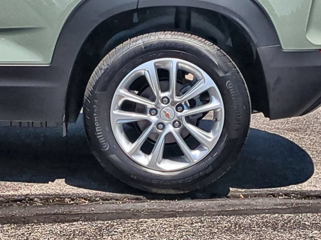 New 2026 Cacti Green Chevrolet LS image 30