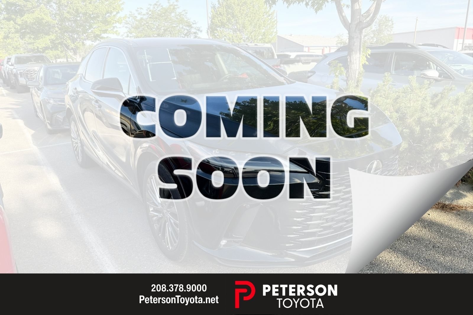 2024 Lexus RX 350 350 Luxury AWD's photo
