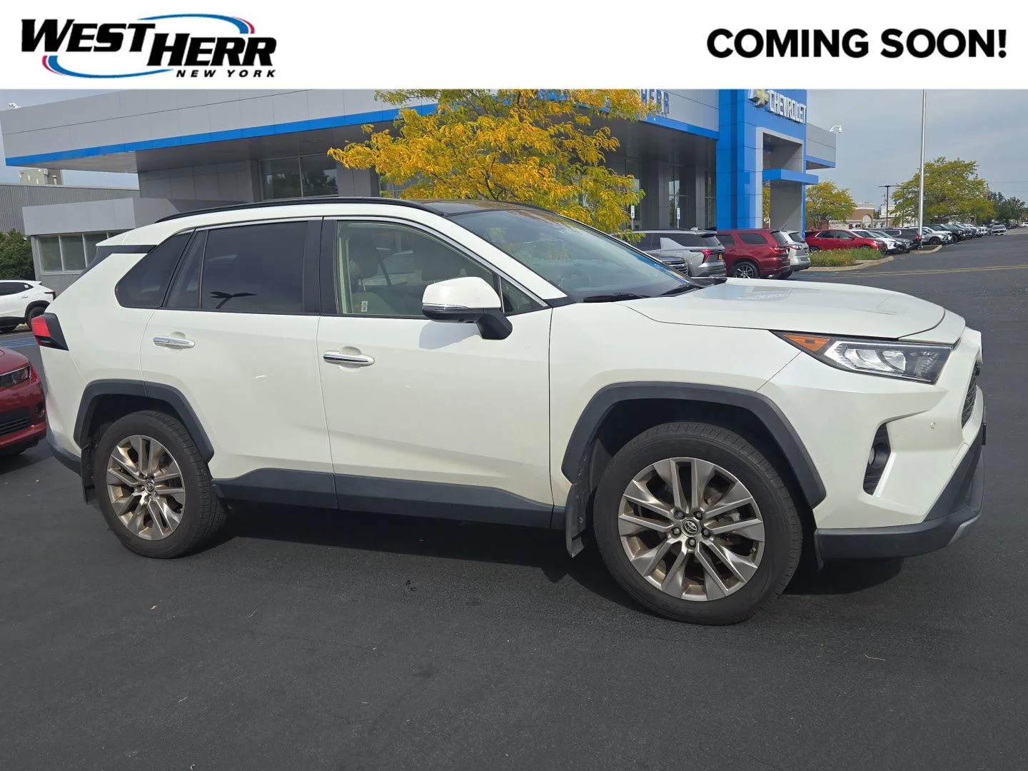Used 2019 Blizzard Pearl Toyota Limited image 1