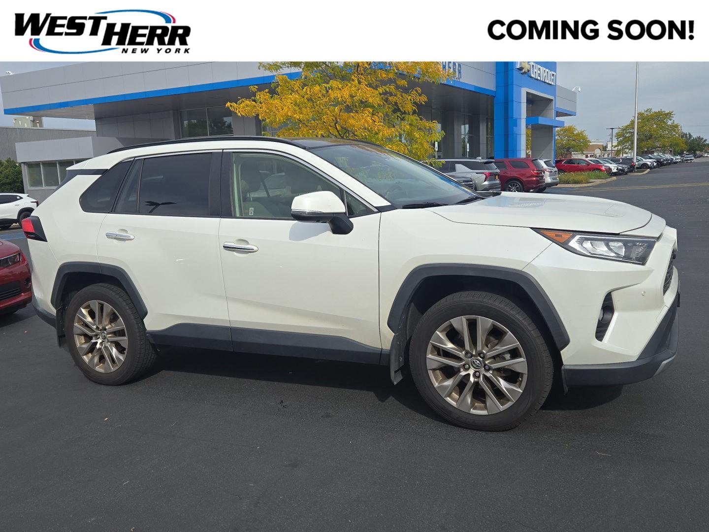 Used 2019 Blizzard Pearl Toyota Limited image 1